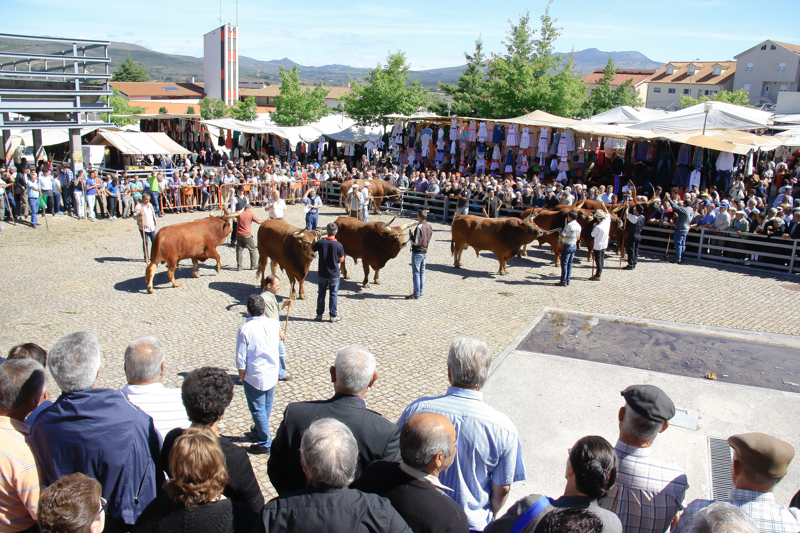 Montalegre - Feira do Prémio 2014