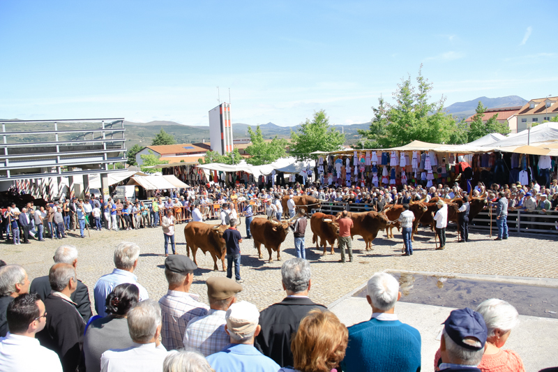 Montalegre - Feira do Prémio 2014