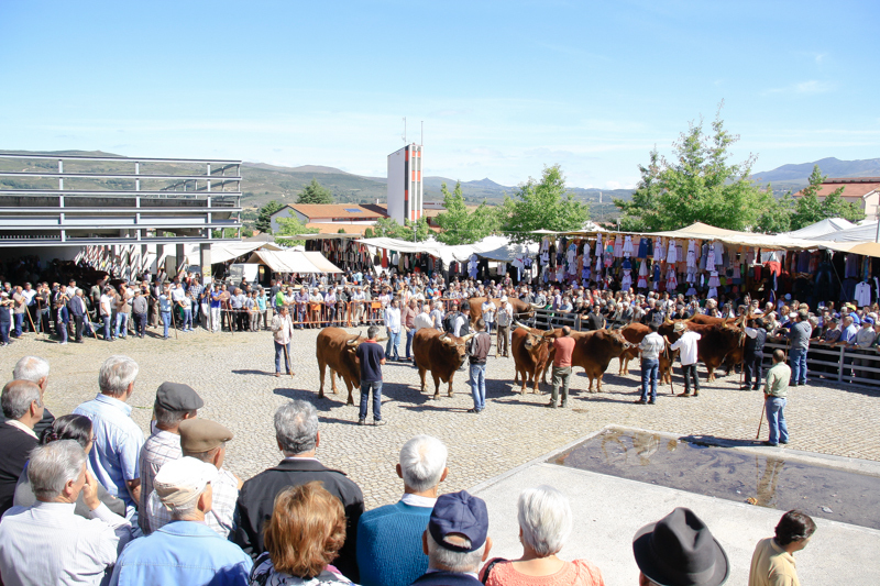 Montalegre - Feira do Prémio 2014