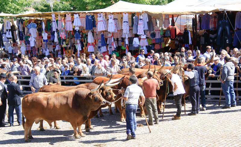 Montalegre - Feira do Prémio 2014