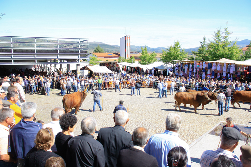 Montalegre - Feira do Prémio 2014