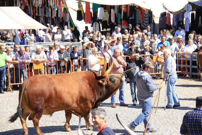 Montalegre - Feira do Prémio 2014