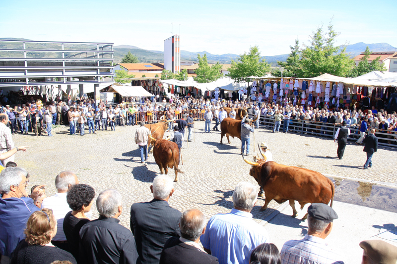 Montalegre - Feira do Prémio 2014