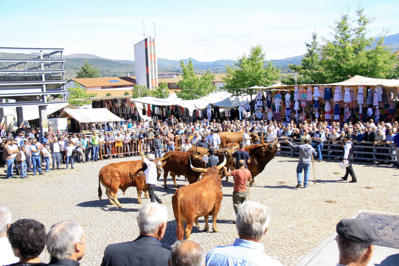 Montalegre - Feira do Prémio 2014