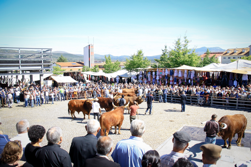 Montalegre - Feira do Prémio 2014