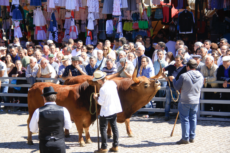 Montalegre - Feira do Prémio 2014