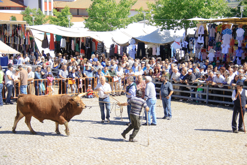 Montalegre - Feira do Prémio 2014