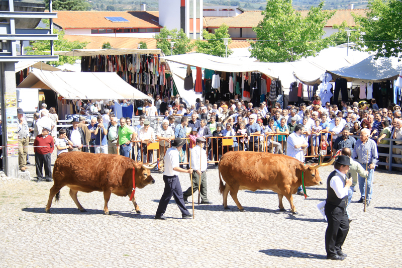 Montalegre - Feira do Prémio 2014