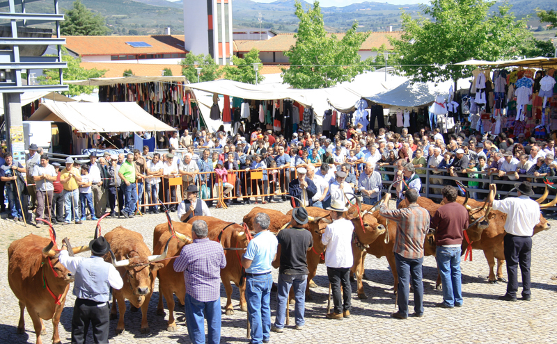 Montalegre - Feira do Prémio 2014