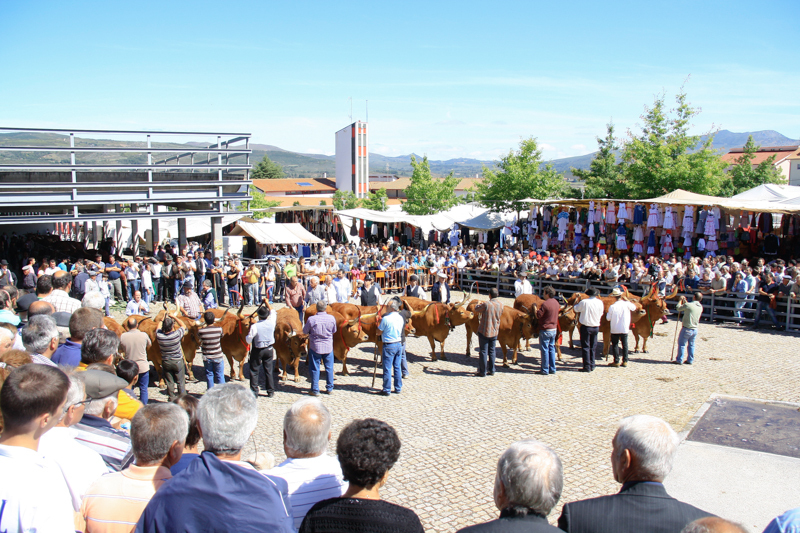 Montalegre - Feira do Prémio 2014