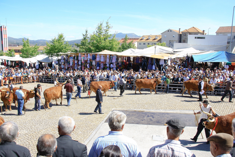 Montalegre - Feira do Prémio 2014