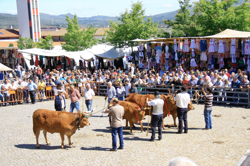 Montalegre - Feira do Prémio 2014