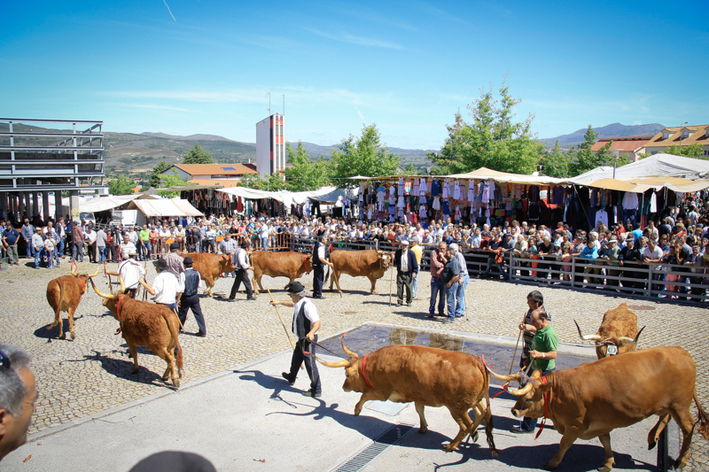 Montalegre - Feira do Prémio 2014