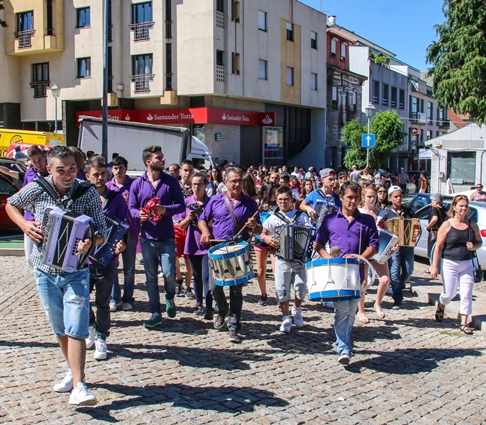 VIII Concentração de Concertinas