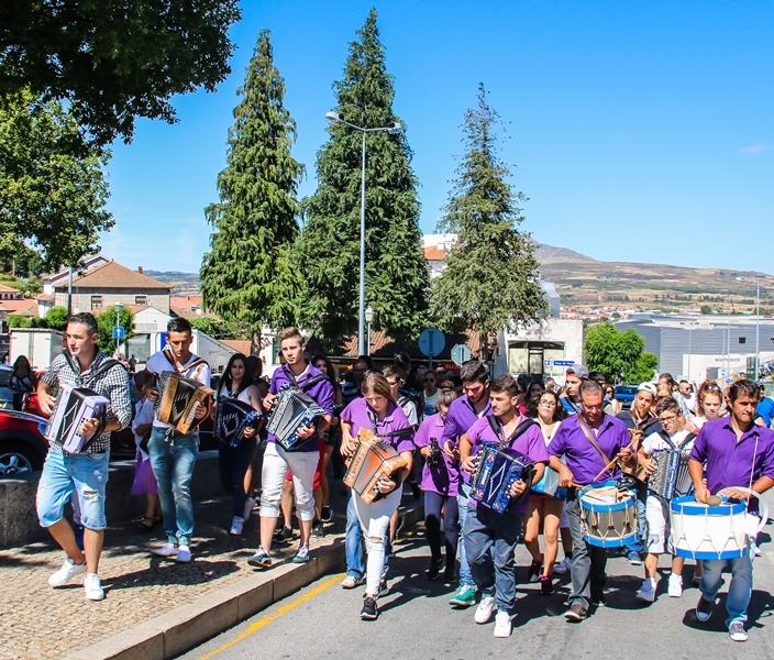 VIII Concentração de Concertinas