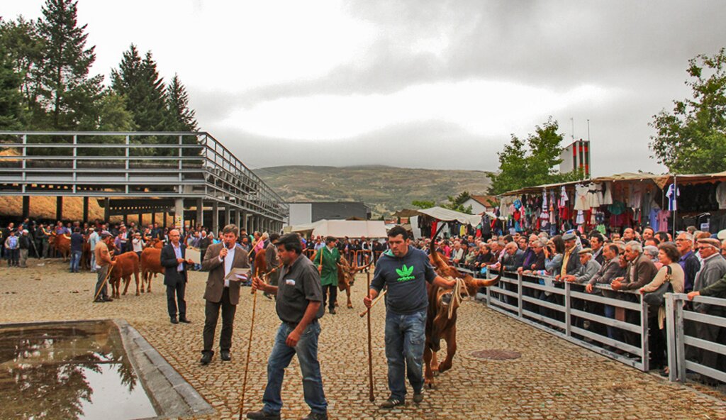 Montalegre - &quot;Feira do Prémio&quot; 2015