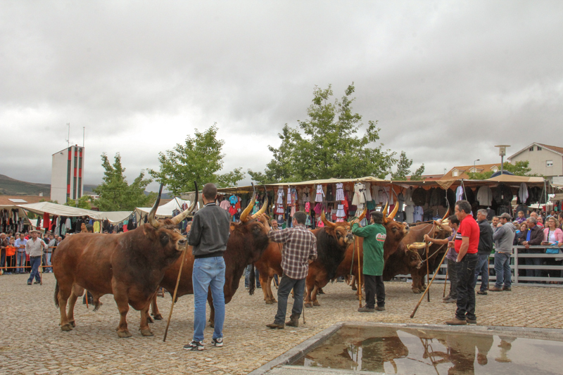 Montalegre - &quot;Feira do Prémio&quot; 2015