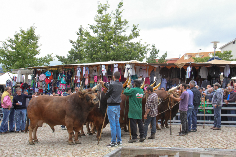 Montalegre - &quot;Feira do Prémio&quot; 2015