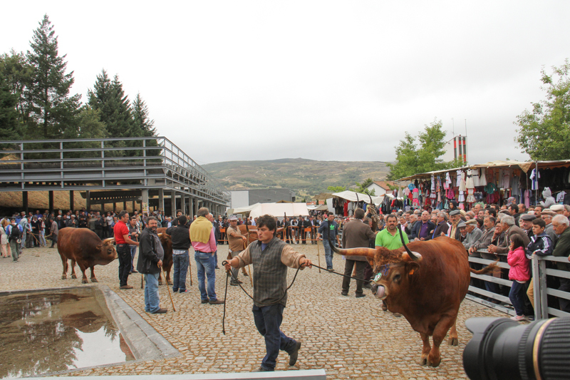 Montalegre - &quot;Feira do Prémio&quot; 2015