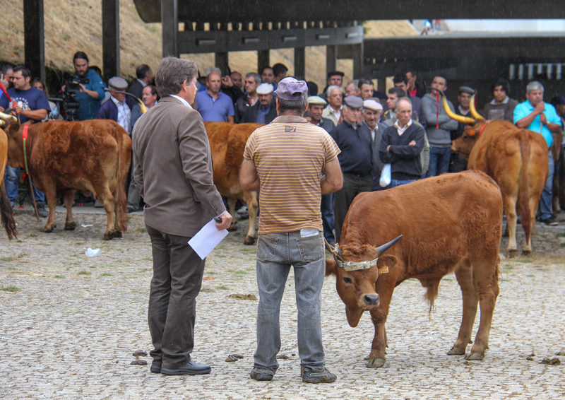 Montalegre - &quot;Feira do Prémio&quot; 2015