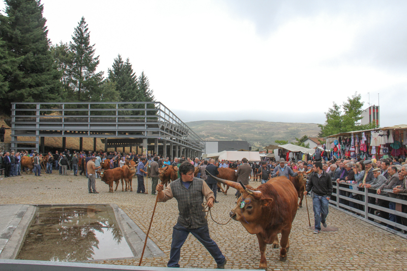 Montalegre - &quot;Feira do Prémio&quot; 2015