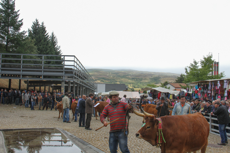 Montalegre - &quot;Feira do Prémio&quot; 2015