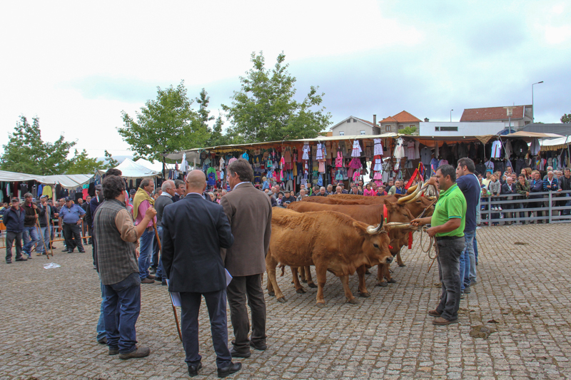 Montalegre - &quot;Feira do Prémio&quot; 2015