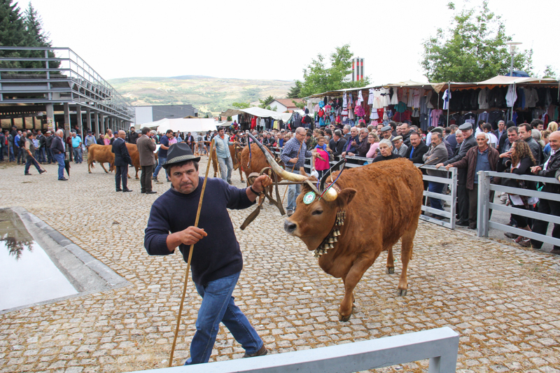 Montalegre - &quot;Feira do Prémio&quot; 2015