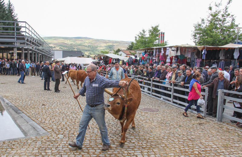 Montalegre - &quot;Feira do Prémio&quot; 2015