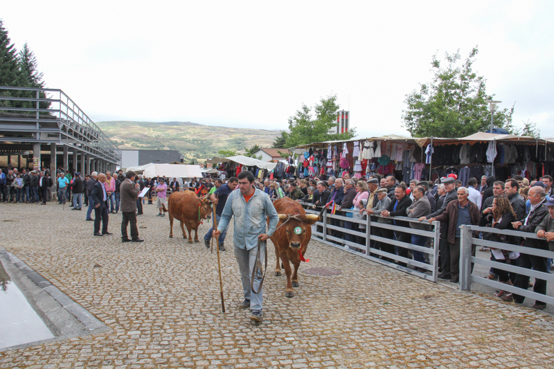 Montalegre - &quot;Feira do Prémio&quot; 2015