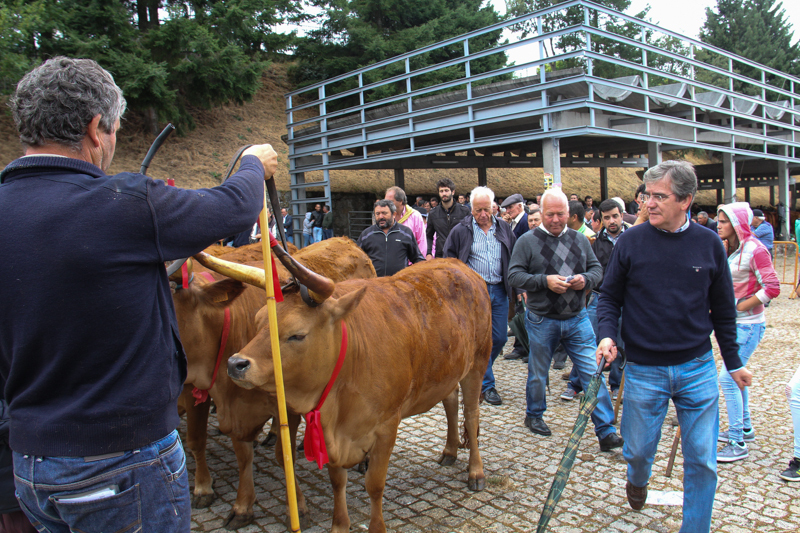 Montalegre - &quot;Feira do Prémio&quot; 2015