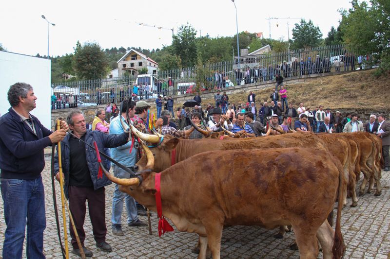 Montalegre - &quot;Feira do Prémio&quot; 2015