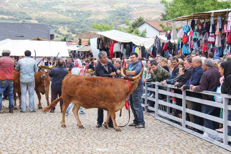 Montalegre - &quot;Feira do Prémio&quot; 2015