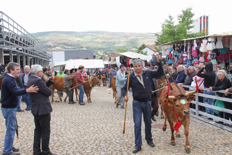 Montalegre - &quot;Feira do Prémio&quot; 2015