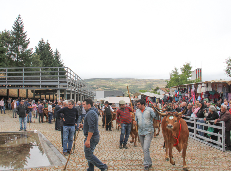 Montalegre - &quot;Feira do Prémio&quot; 2015