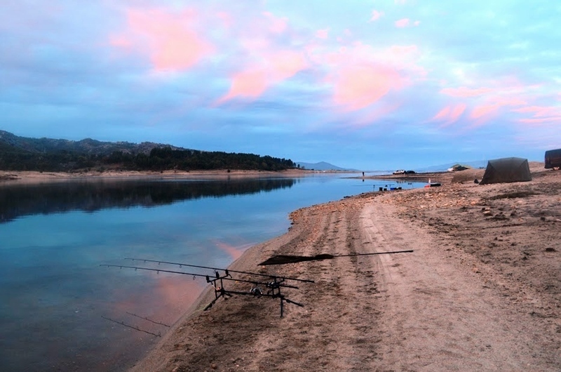 Pisões Carp Classic - Sucesso!