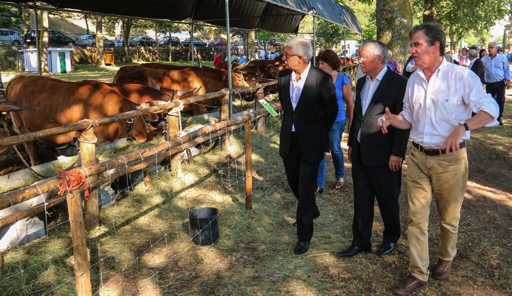 Inauguração da III Semana do Barrosão (Salto)