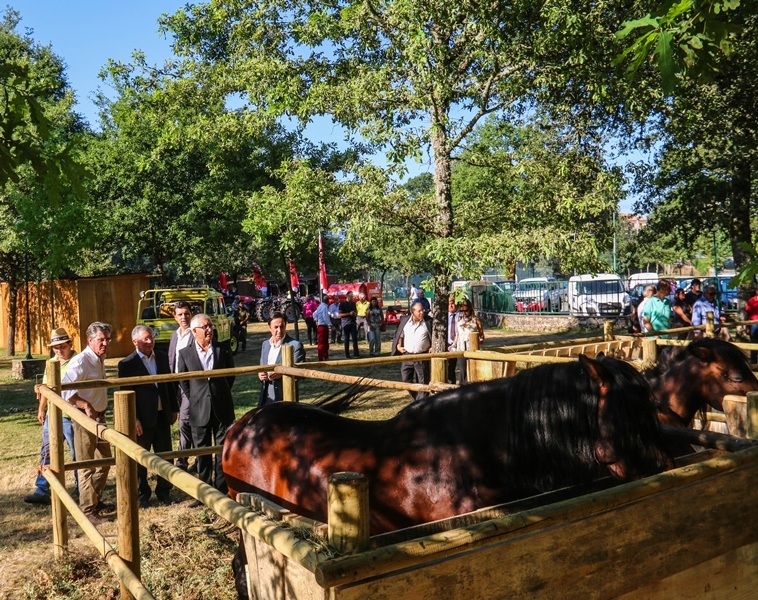 Inauguração da III Semana do Barrosão (Salto)