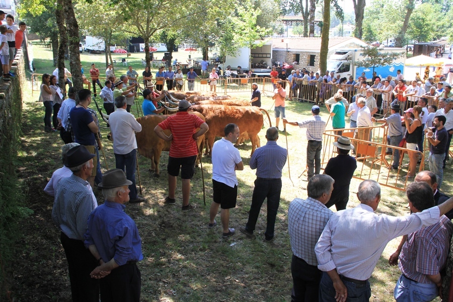 Salto | Concurso pecuário de raça barrosã 2016