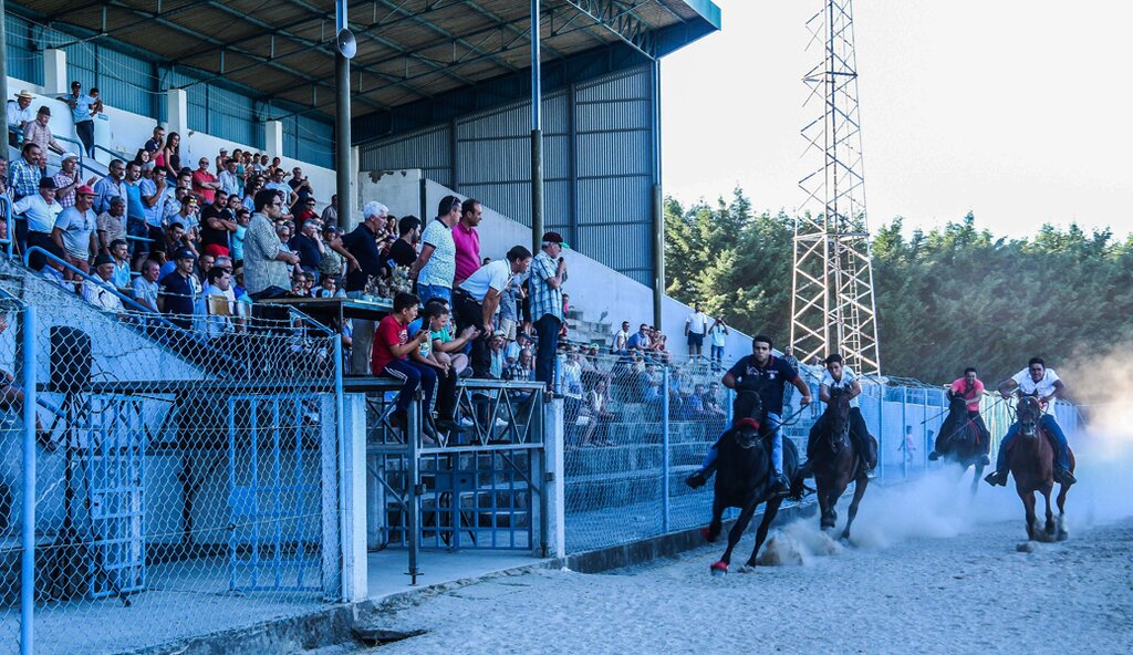 Montalegre - &quot;Corrida de Cavalos&quot; 2016