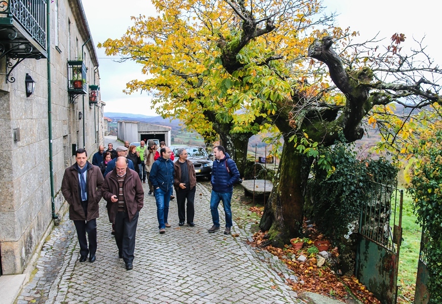 FAO candidata Barroso a património paisagístico