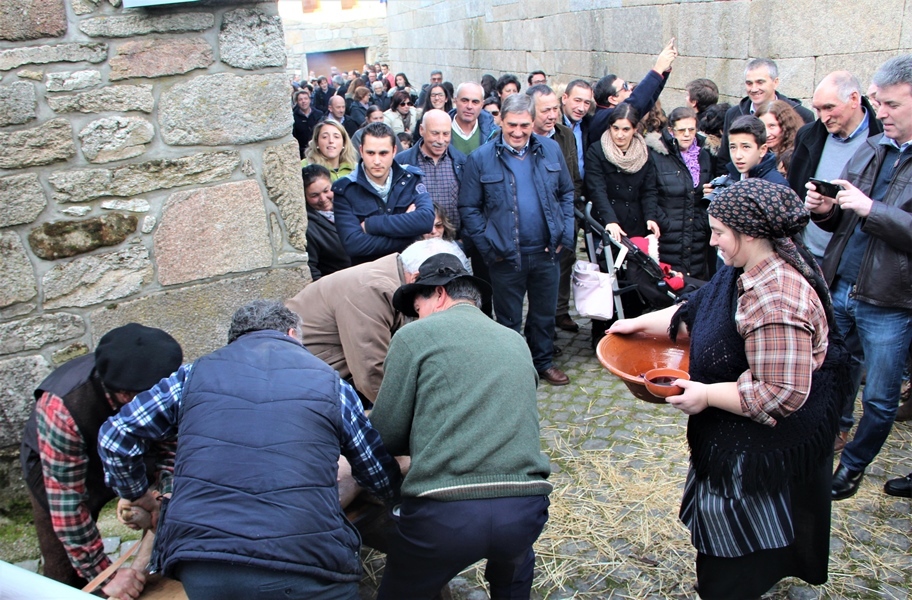 "Presépio Vivo" em Salto