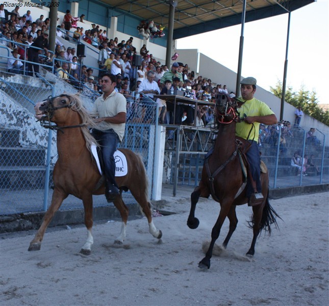 Corrida de cavalos em Montalegre