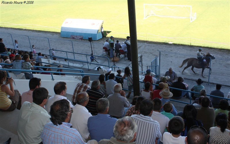 Corrida de cavalos em Montalegre