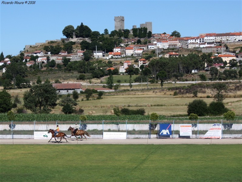 Corrida de cavalos em Montalegre