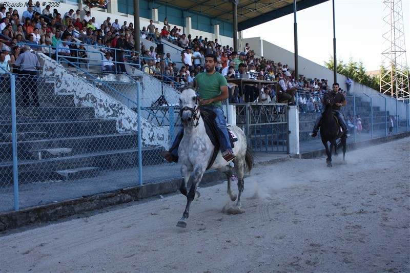 Corrida de cavalos em Montalegre