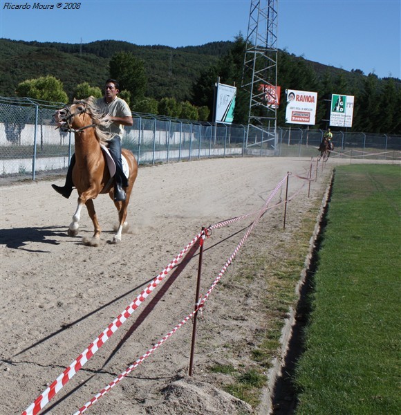 Corrida de cavalos em Montalegre