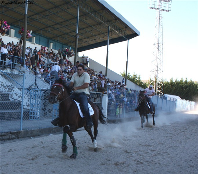 Corrida de cavalos em Montalegre