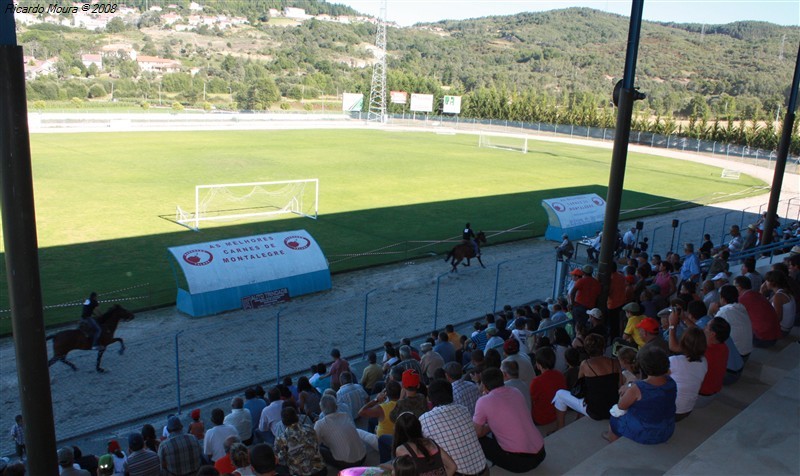 Corrida de cavalos em Montalegre