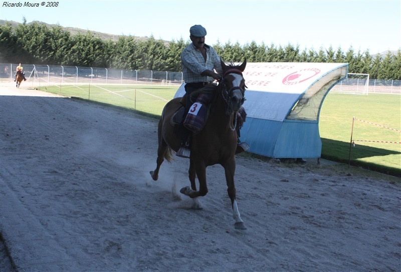 Corrida de cavalos em Montalegre